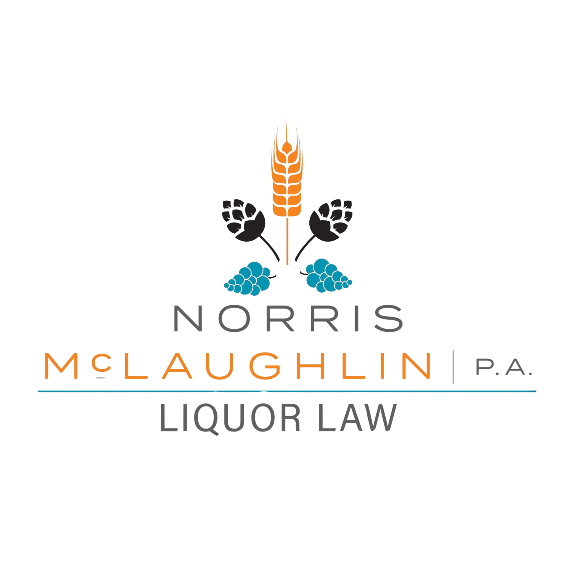 Norris McLaughlin logo